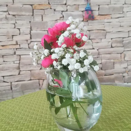 Lejlighed Apartma Zalka Izola